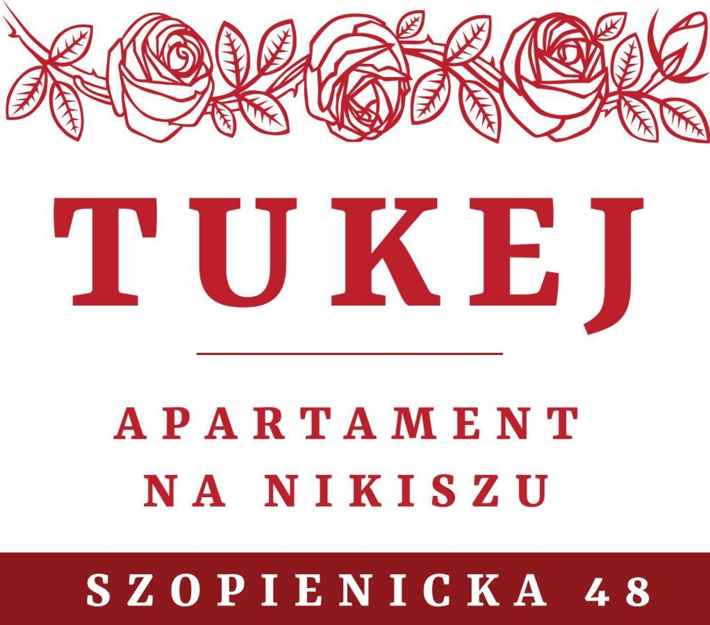 Tukej Apartament Na Nikiszu Διαμέρισμα Κατοβίτσε Εξωτερικό φωτογραφία